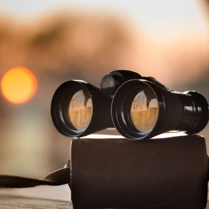 How do I clean and maintain my binoculars?