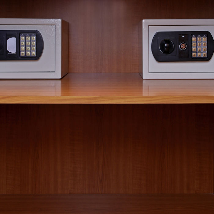 Hidden in Plain Sight: The Best Concealment Small Safes for Your Home
