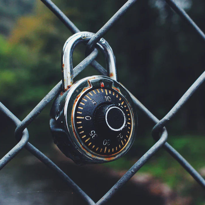 Unlocking Security Biometric vs. Traditional Lock Safes