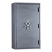 Biometric Gun Safe